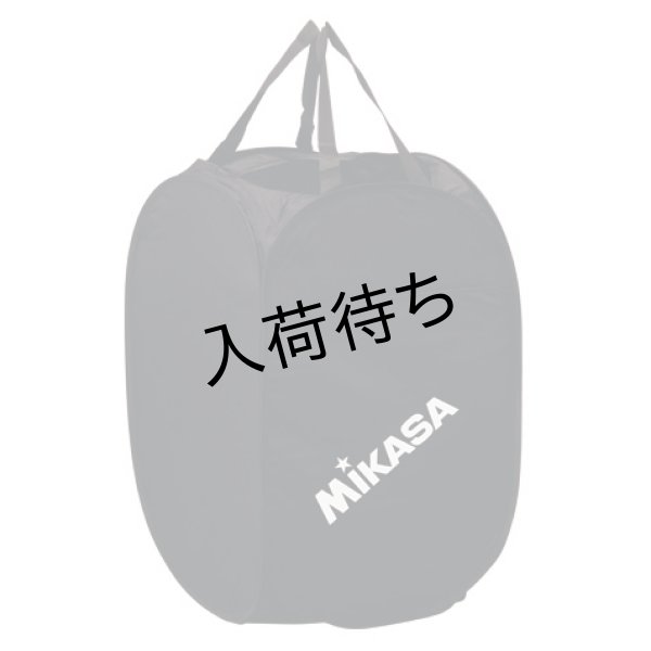 画像2: ミカサ ワンタッチケース (2)