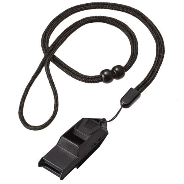 画像3: ドルフィン Bu (3)