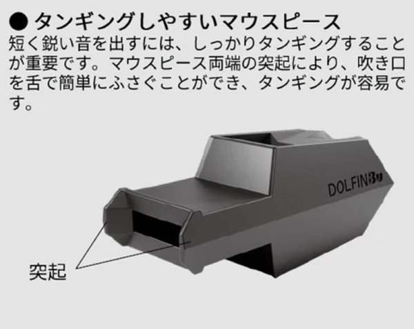 画像7: ドルフィン Bu (7)